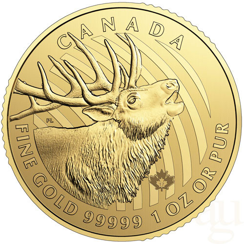 Maple Leaf Gold 1 oz  - Wapitihirsch 2017