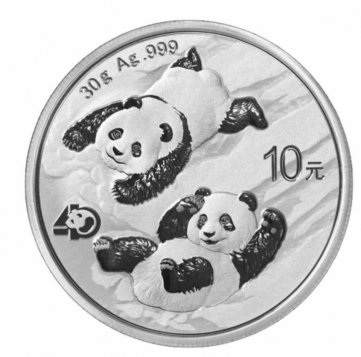 China Panda Silber 30 g 2022AG6755