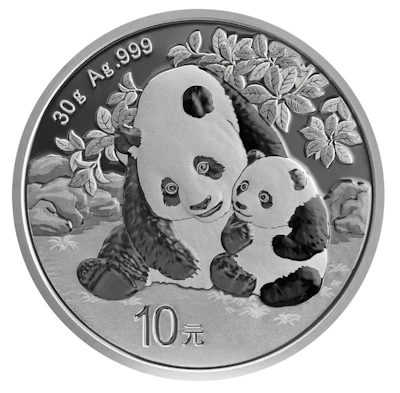 China Panda Silber 30 g 2024