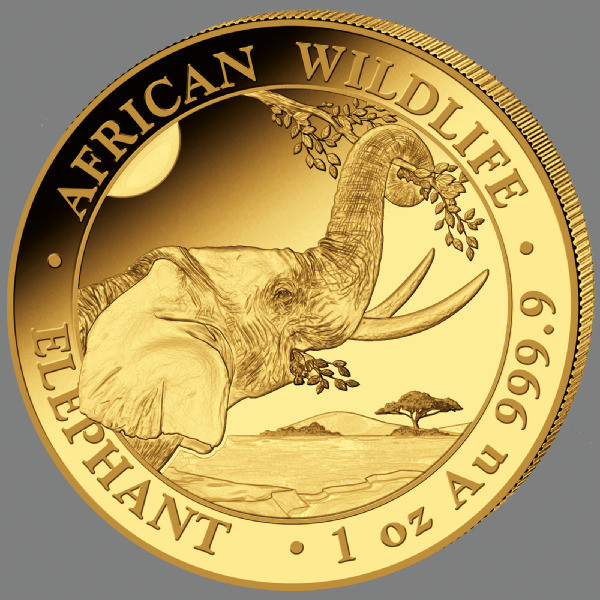 Somalia Elefant 2023 Gold 1 oz