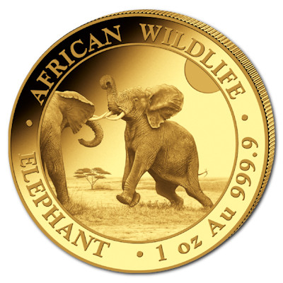 Somalia Elefant 2024 Gold 1 oz