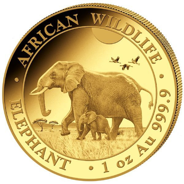 Somalia Elefant 2022 Gold 1 oz