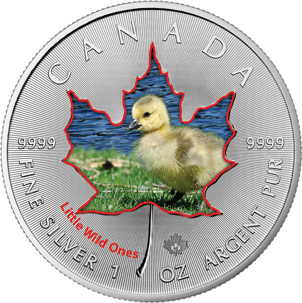 Maple Leaf Wildlife 2016 Tierbabys - Kanadagans coloriert Silber 1 oz
