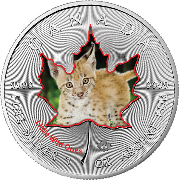 Maple Leaf Wildlife 2016 Tierbabys - Luchs coloriert Silber 1 oz