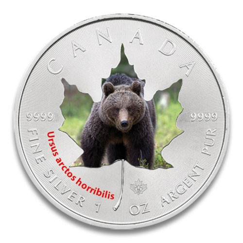 Maple Leaf Wildlife 2014 Grizzly-Bär coloriert Silber 1 oz