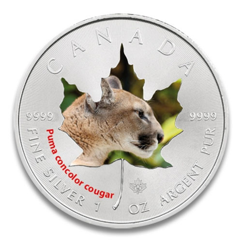 Maple Leaf Wildlife 2014 Puma coloriert Silber 1 oz
