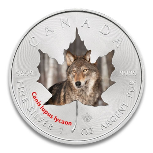 Maple Leaf Wildlife 2014 Timber-Wolf coloriert Silber 1 oz