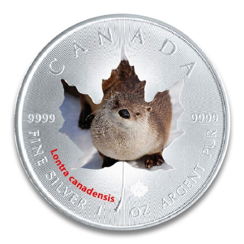 Maple Leaf Wildlife 2015 Kanadischer Fischotter coloriert Silber 1 oz