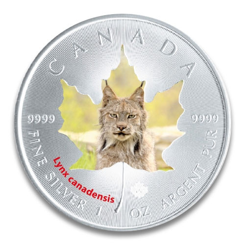 Maple Leaf Wildlife 2015 Kanadischer Luchs coloriert Silber 1 oz