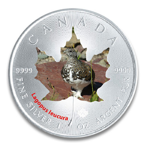 Maple Leaf Wildlife 2015 Schneehuhn coloriert Silber 1 oz