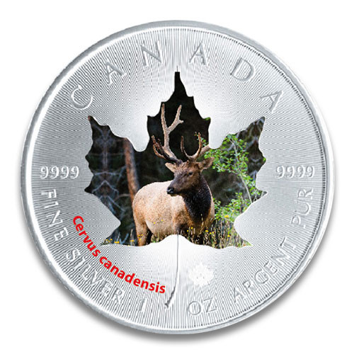 Maple Leaf Wildlife 2015 Hirsch coloriert Silber 1 oz