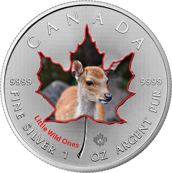 Maple Leaf Wildlife 2016 Tierbabys - Weißwedel-Hirsch coloriert Silber 1 oz