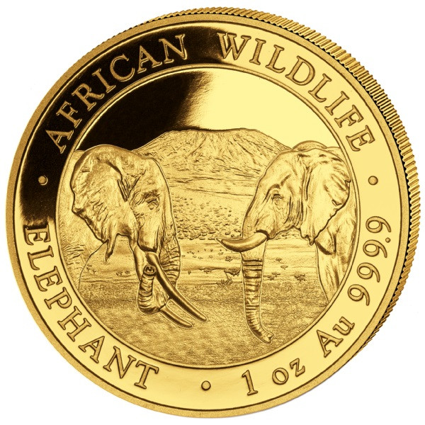 Somalia Elefant 2020 Gold 1 oz