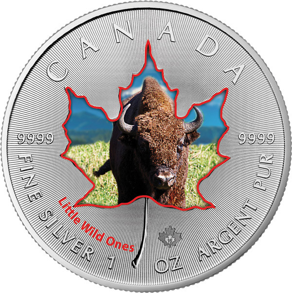 Maple Leaf Wildlife 2016 Tierbabys - Bison coloriert Silber 1 oz