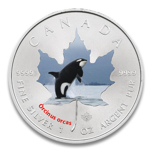 Maple Leaf Wildlife 2014 Orca coloriert Silber 1 oz