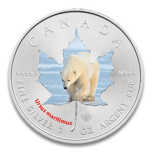 Maple Leaf Wildlife 2014 Polarbär coloriert Silber 1 oz