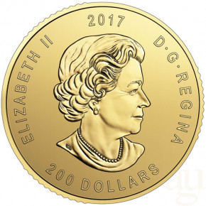 Maple Leaf Gold 1 oz  - Wapitihirsch 2017