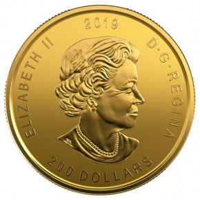 Maple Leaf Gold 1 oz  - Elch 2019