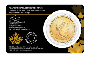 Klondike Gold Rush Gold 1 oz  - Prospecting for Gold 2022