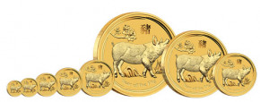 Lunar II Schwein 2019 Gold 1/20 oz